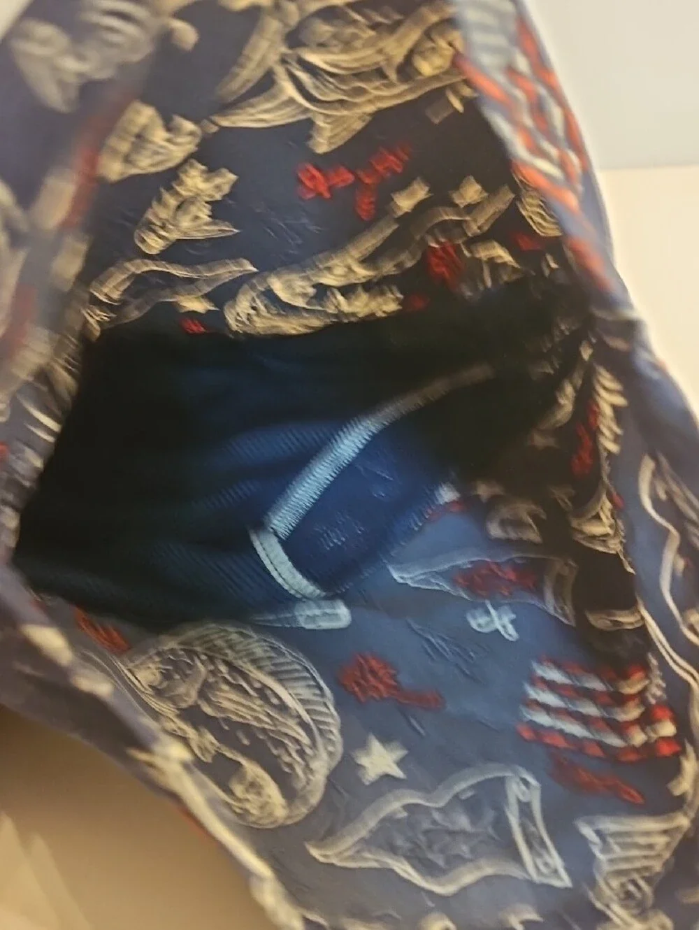 Columbia Boys' Navy Blue Fish & Flag Swim Trunks